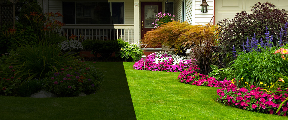 Dry Fork Landscapers
