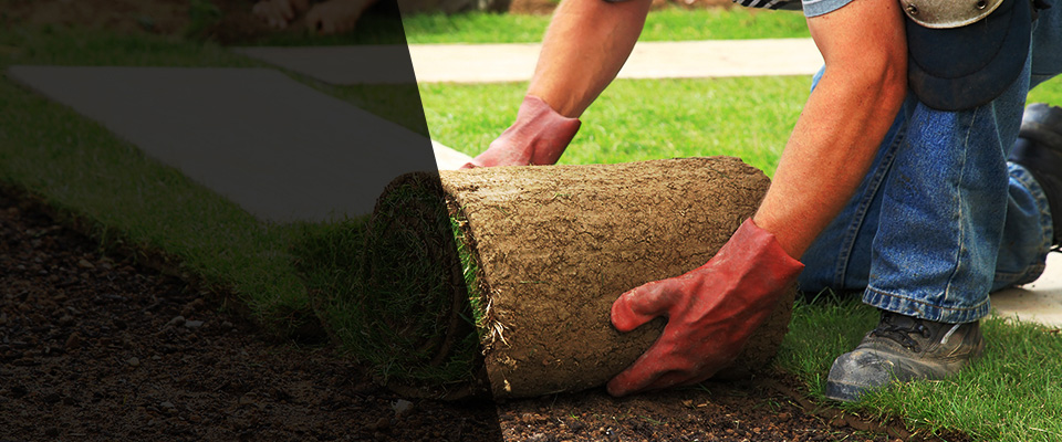 Dry Fork Landscapers